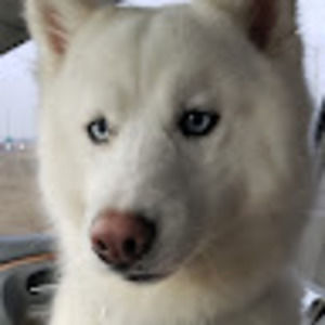 Meet your Posher, Geidy